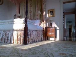 Asmara Inc. Flowing Coral CG Needlepoint Rug View All Rugs