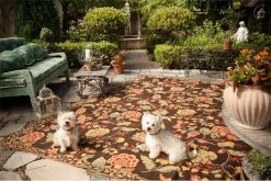 Asmara Inc. Kirov J Needlepoint Rug