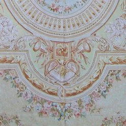 Asmara Inc. Minerve Aubusson Rug